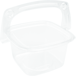 Handle Box Packaging (BS-115)