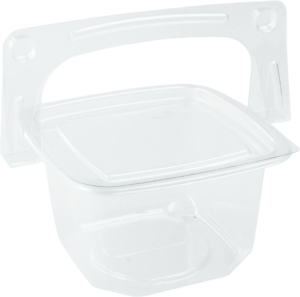 Handle Box Packaging (BS-90)